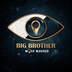 Big Brother: Most Wanted (2018)