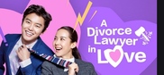 Divorce Lawyer In Love / Влюбеният адвокат (2015) [епизоди: 18] END