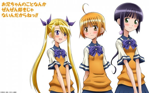 Oniichan no Koto nanka Zenzen Suki ja Nai n da kara ne!! (2011)