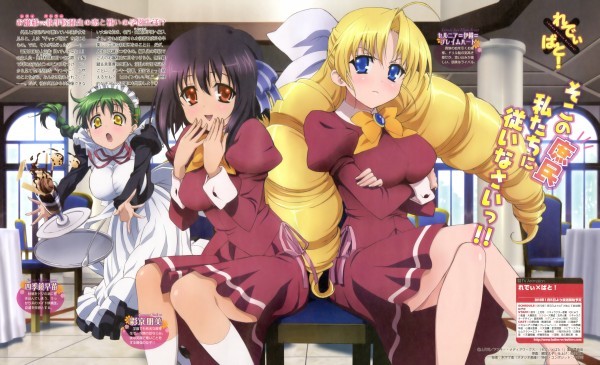Ladies versus Butlers! (2010)