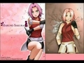 ~SAKURA~