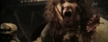 ♥ Folk Metal / Viking metal / Medieval / Pagan / Neofolk ♥