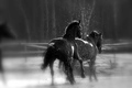 past