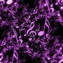 MY MUSIC