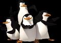 The Penguins of Madagascar