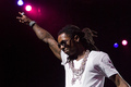 wayne!