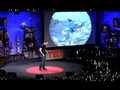 TED