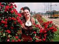 Народна музика