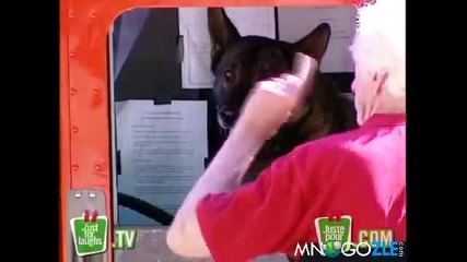 Скрита камера - куче шофьор!!!!!!!!!!!!!!!!!!!!!