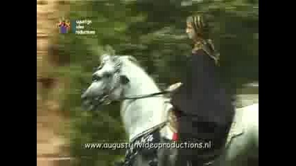 Arabian Horses - Egyptian Classic Tilburg July 20, 2003 