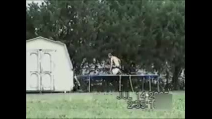 100% смях