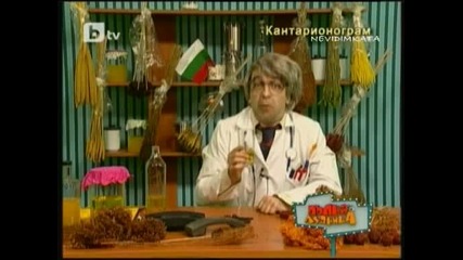Пълна Лудница (2част) 05.04.10