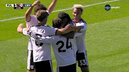 Goal by Fulham