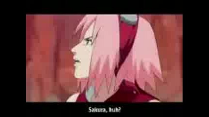 Sakura Feels So small