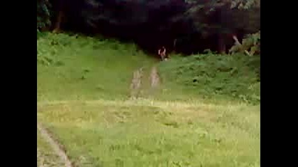 Piqnica kara kolelo