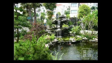 Chinese Garden