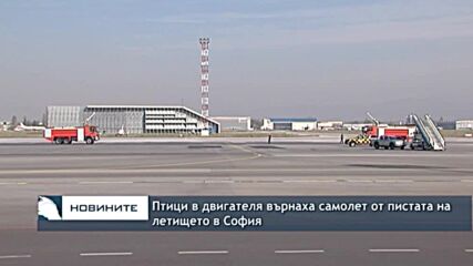Птици в двигателя върнаха самолет от пистата на летището в София