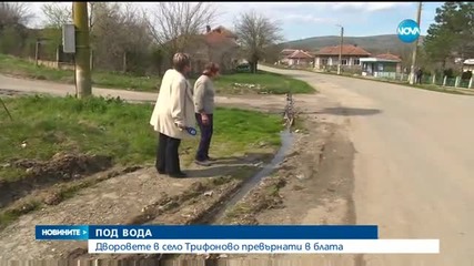 Дворовете в село Трифоново - превърнати в блата