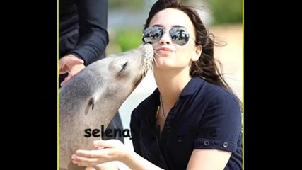 Demi 