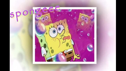 Sponge Bob