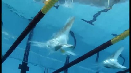 Благодаря ти мамо!!.. много силно видео