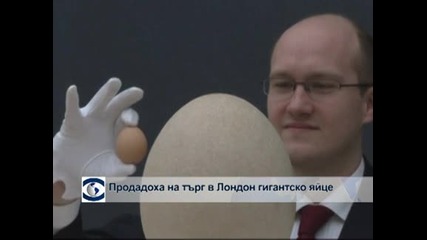 Продадоха на търг в Лондон гигантско яйце