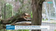 Ураганен вятър нанесе щети в Янбулско