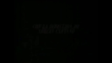 Lqetnd La caza del angel (telenovelasfans.hit.bg)