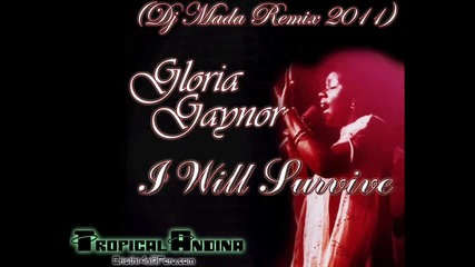 Gloria Gaynor--i Will Survive ( Extended Mix ) 1979