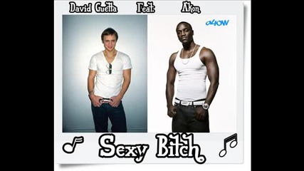 ( New ) David Guetta Feat. Akon - Sexy Bitch