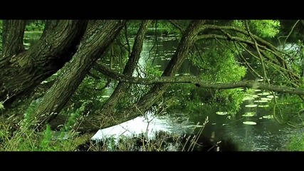 Aeone - Indira