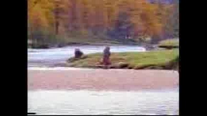 Мечка срещу Човек