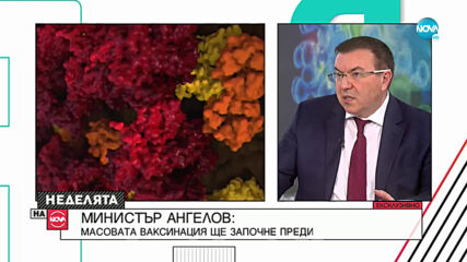 Проф. Ангелов: Масовата ваксинация ще започне преди май