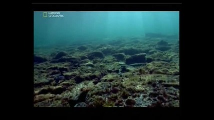 Naked Science - Ancient sea monsters 4