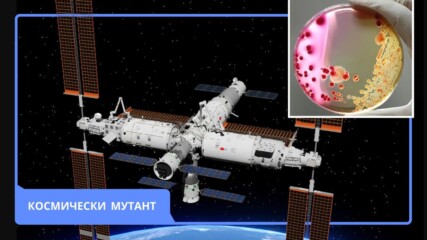 Откриха непозната бактерия в китайската космическа станция.🧫🔬