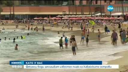 Фекални води се носят към Хавайските острови