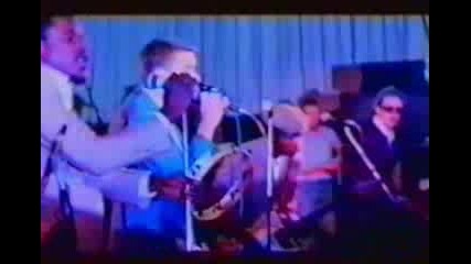 The Specials - Concrete Jungle (live)