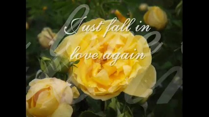 I Just Fall In Love With You