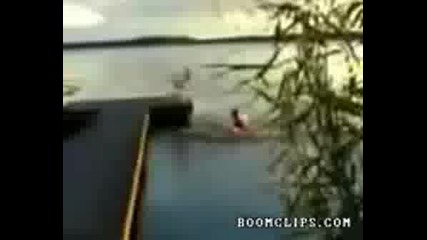 Шегата На Блатното Чудовище :d