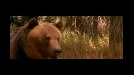 Doctor Dolittle 2 част 3 (bg аудио)