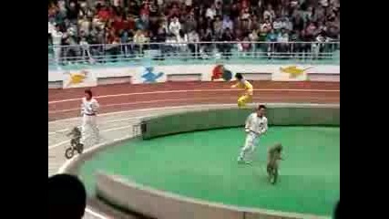 Monkey Race