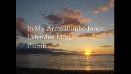 Plumb - In My Arms(bimbo Jones Extended Remix.avi