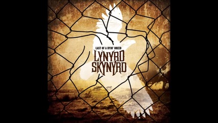 *превод* Lynyrd Skynyrd - Low Down Dirty