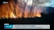 Пожар горя в труднодостъпната месност „Нивище” в Странджа