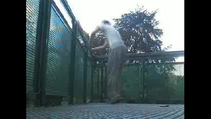 Le Parkour