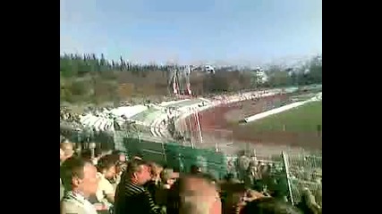 beroe fans 2