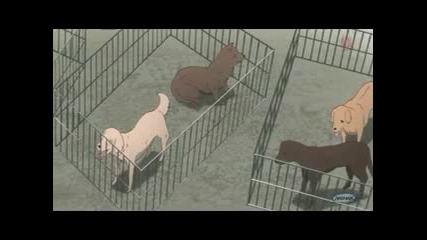 [ Nuke ] Tetsuwan Birdy Decode 2 ep 3