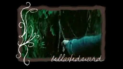 Bella and Edward - You Can