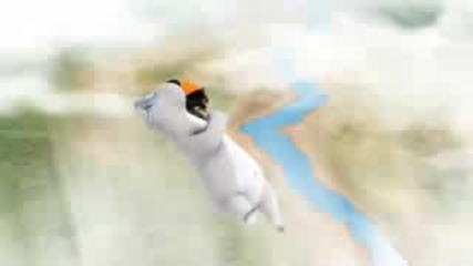 Лудата Мечка