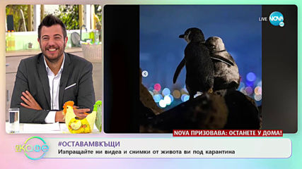 Изпращайте ни видеа и снимки от живота ви под карантина - „На кафе” (21.04.2020)